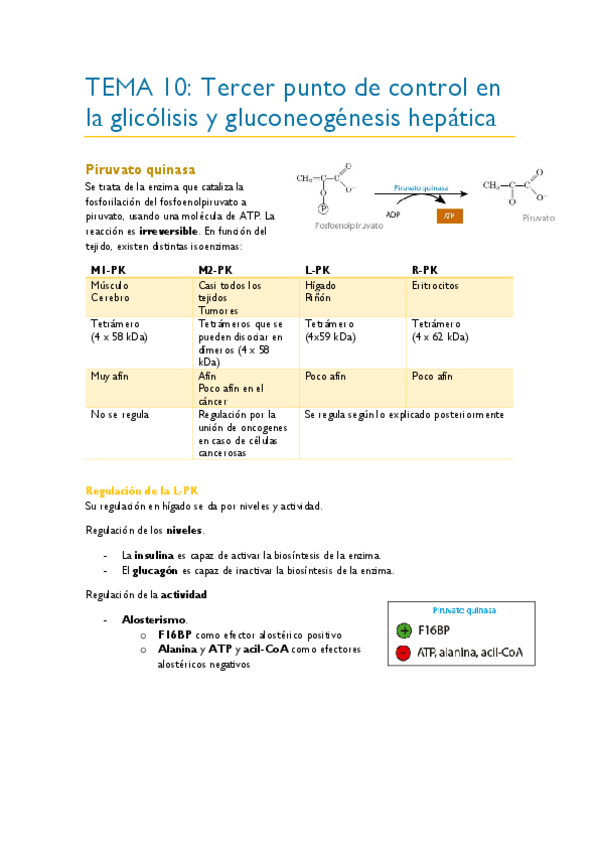 Miniatura del documento TEMA-10.pdf