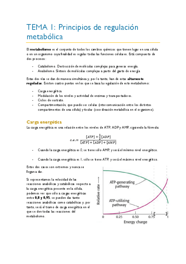 Miniatura del documento TEMA-1.pdf