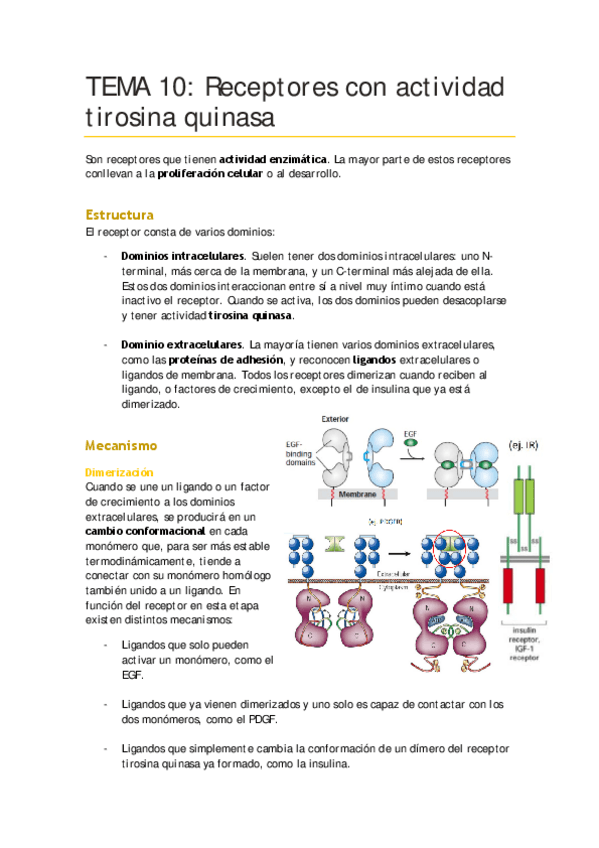 Miniatura del documento TEMA-10.pdf