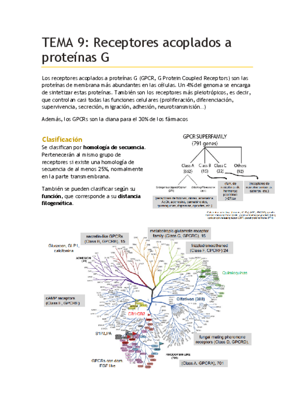 Miniatura del documento TEMA-9.pdf