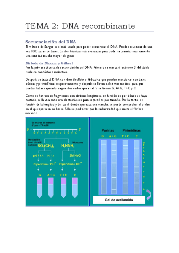 Miniatura del documento TEMA-2.pdf