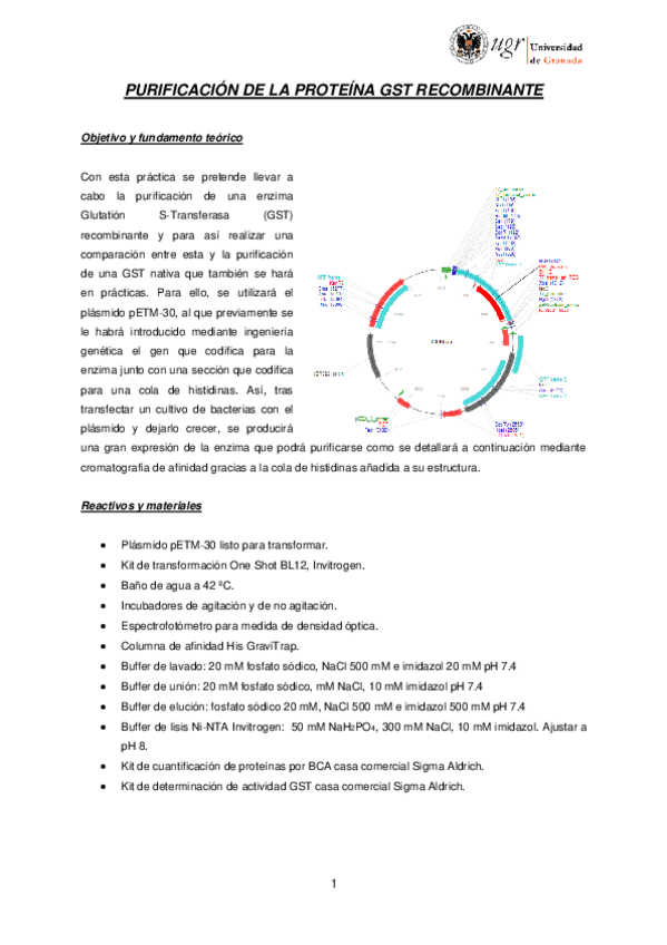 Miniatura del documento Purificacion-de-proteina-recombinante.pdf
