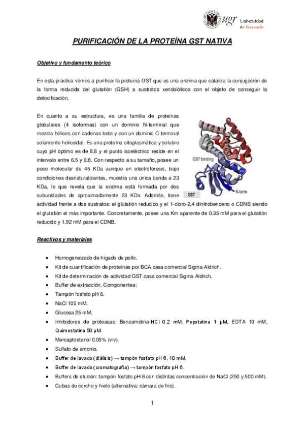 Miniatura del documento Purificacion-de-proteina-nativa.pdf