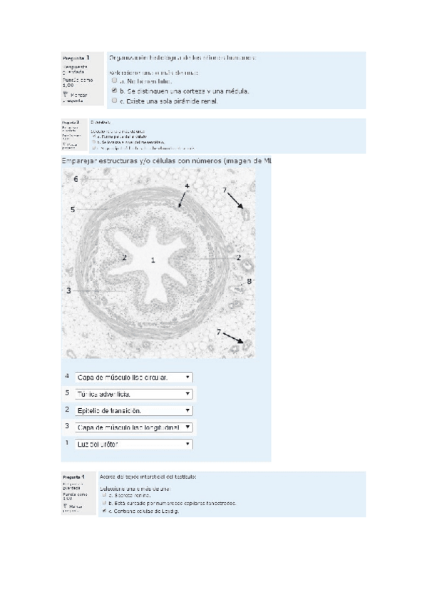 Miniatura del documento autoevaluacion-animal.docx