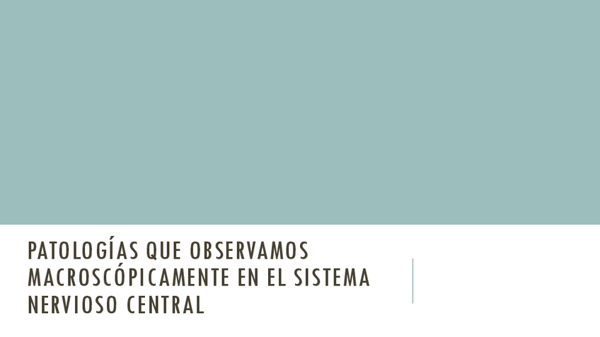 Miniatura del documento PATOLOGIAS-MACROSCOPICAS-BLOQUE-SNC.pdf