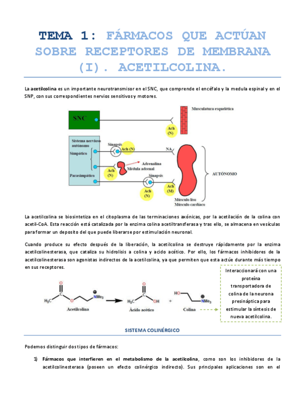 Miniatura del documento Quimica-Farmaceutica-II.pdf