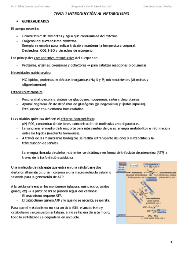 Miniatura del documento TEMA-1-INTRODUCCION-AL-METABOLISMO-subir.pdf