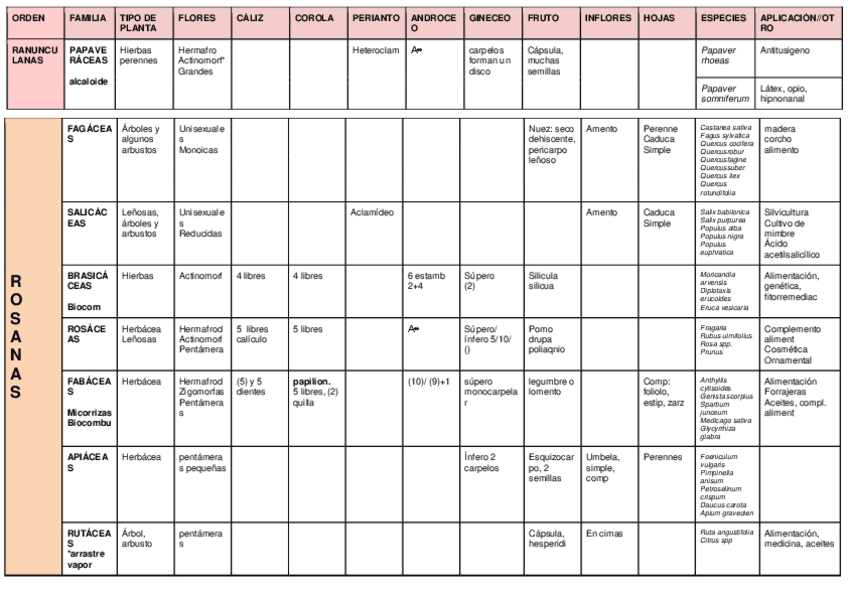 Miniatura del documento Botanica-Angiospermas.pdf