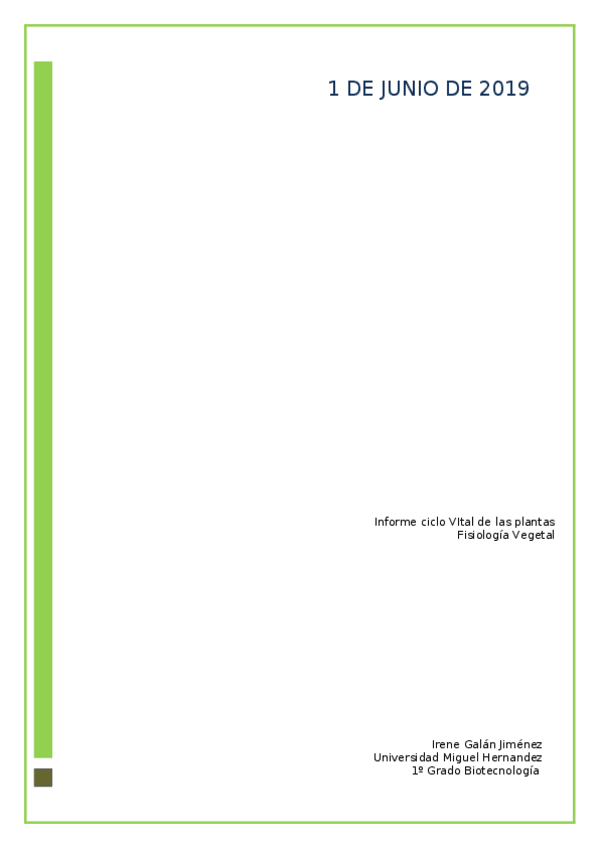 Miniatura del documento INFORME-PLANTITO.docx