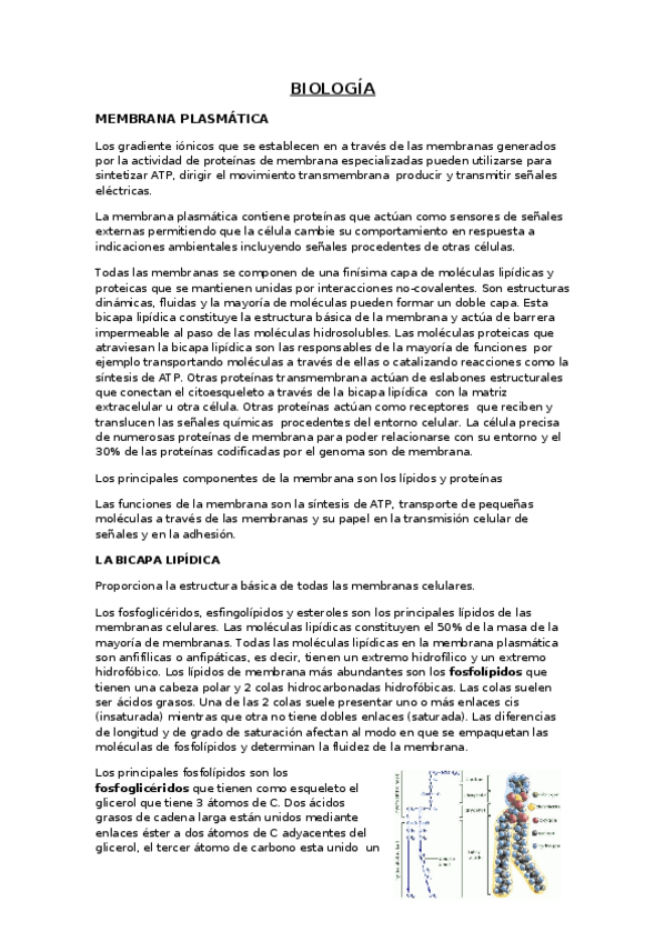 Miniatura del documento TEMA-2.docx