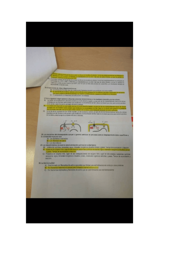 Miniatura del documento fotos-examen-biologia.docx
