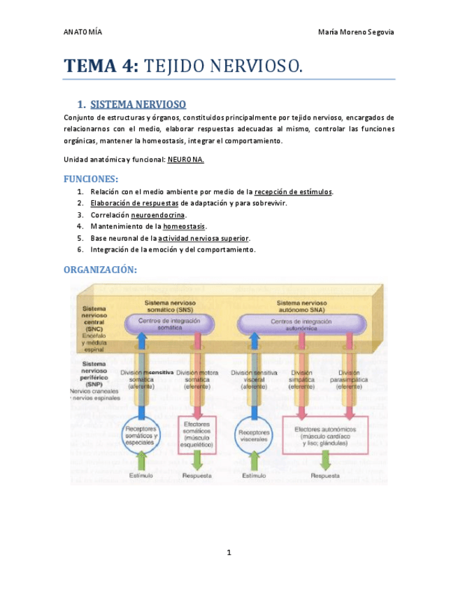 Miniatura del documento TEMA-4.pdf