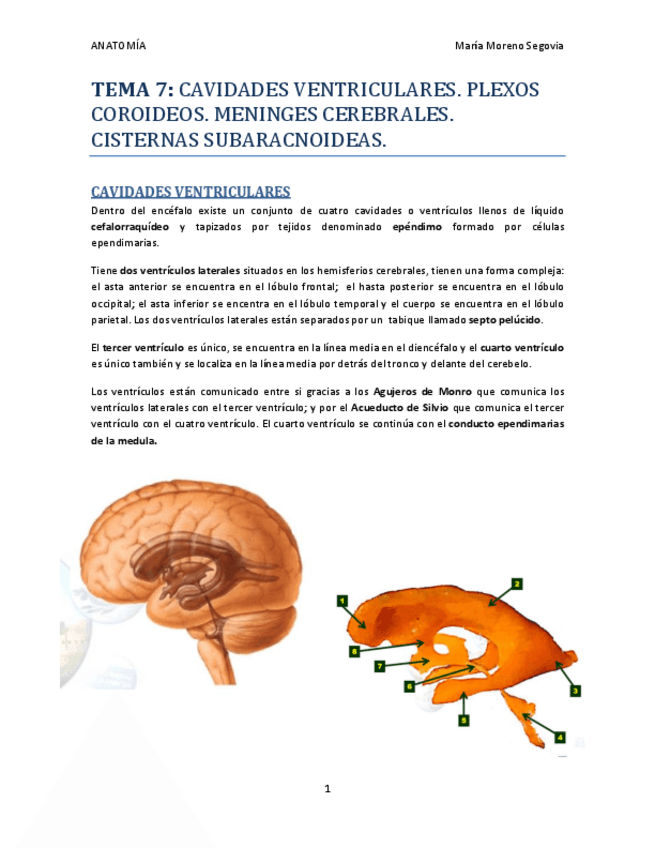 Miniatura del documento TEMA-7.pdf