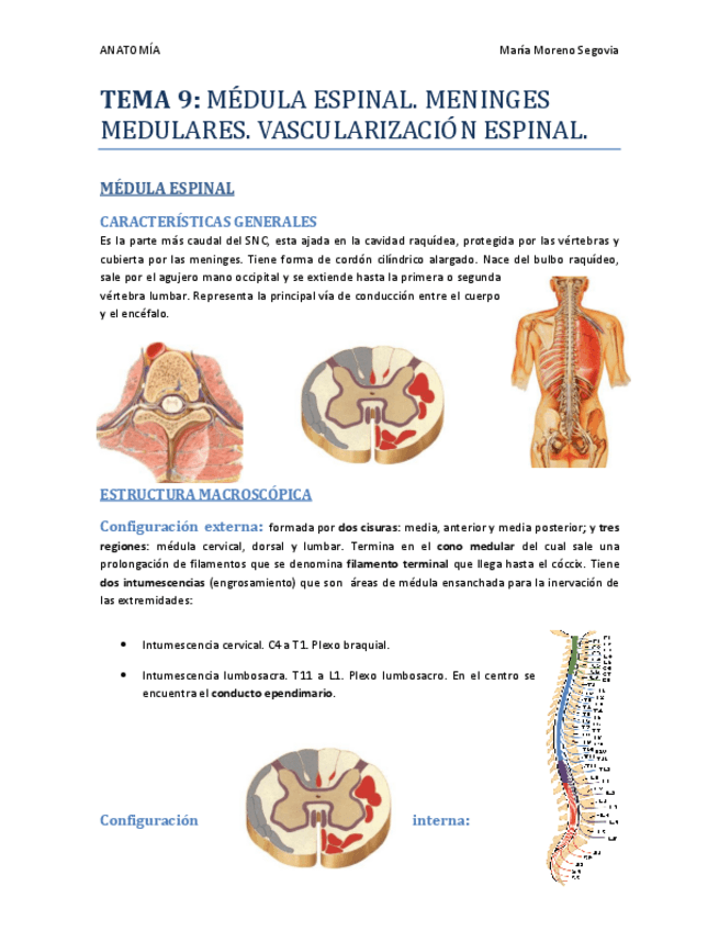 Miniatura del documento TEMA-9.pdf