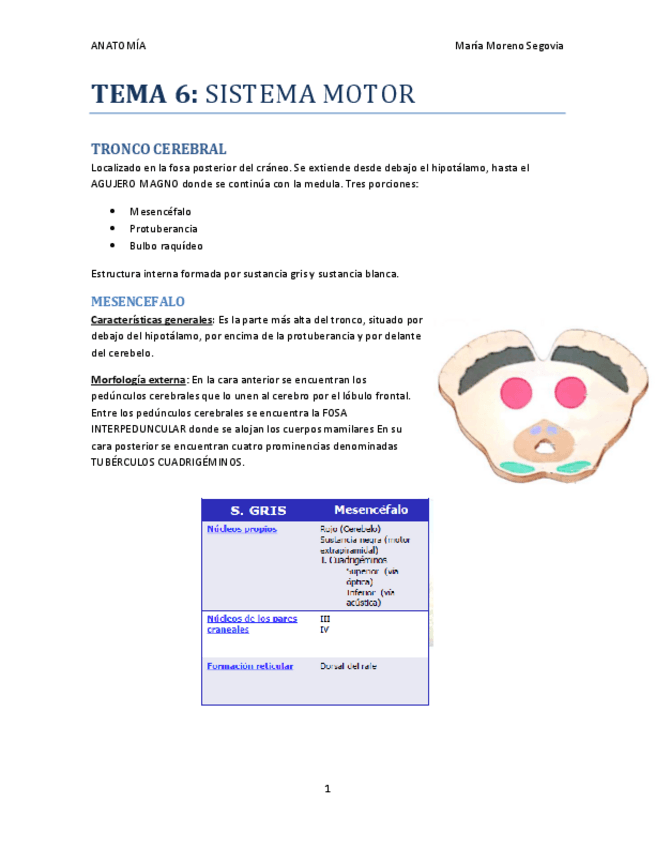 Miniatura del documento TEMA-6.pdf