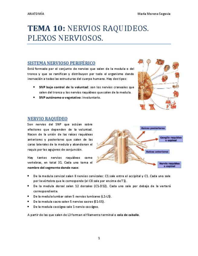 Miniatura del documento TEMA-10.pdf
