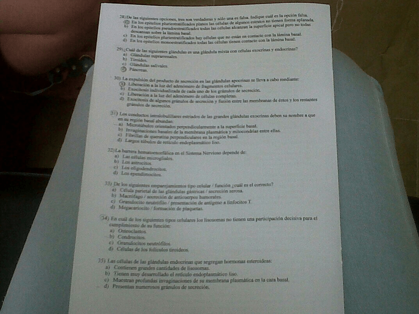 Miniatura del documento IMG-20140909-WA0005.jpg