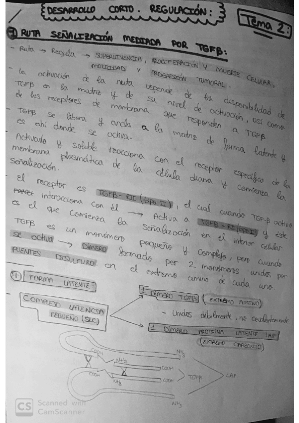 Miniatura del documento PREGUNTAS-RESUELTAS-EXAMEN-REGULACION.pdf