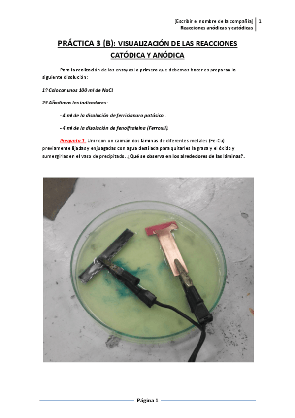 Miniatura del documento Practica-3.pdf