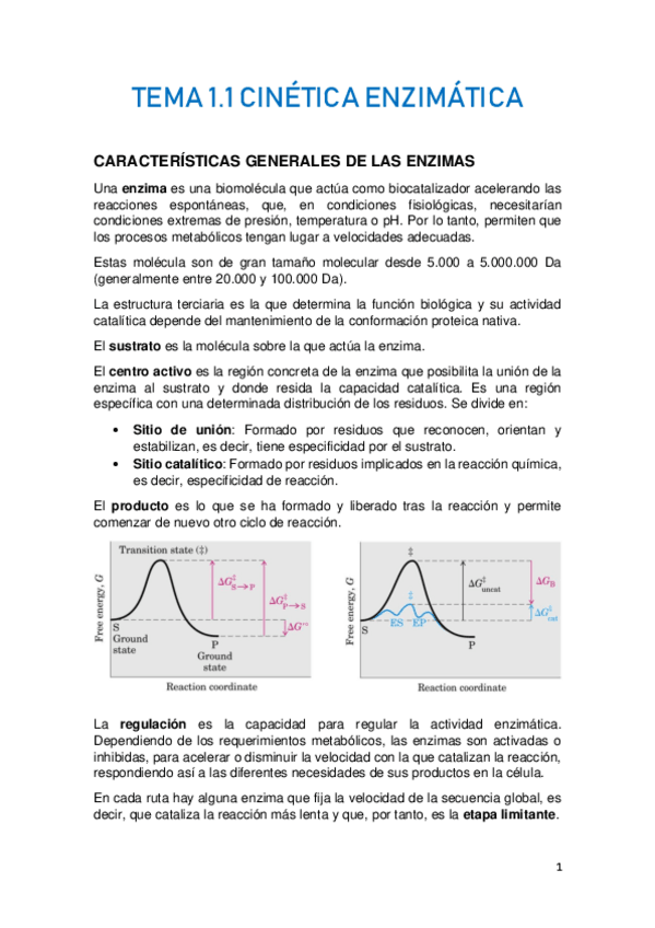 Miniatura del documento TEMA-1.pdf