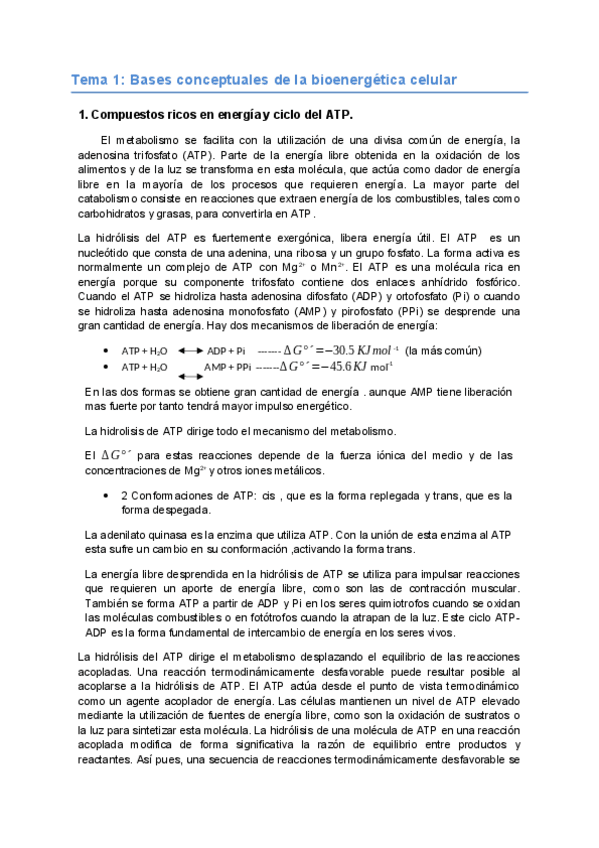 Miniatura del documento APUNTES-PRIMER-PARCIAL.pdf