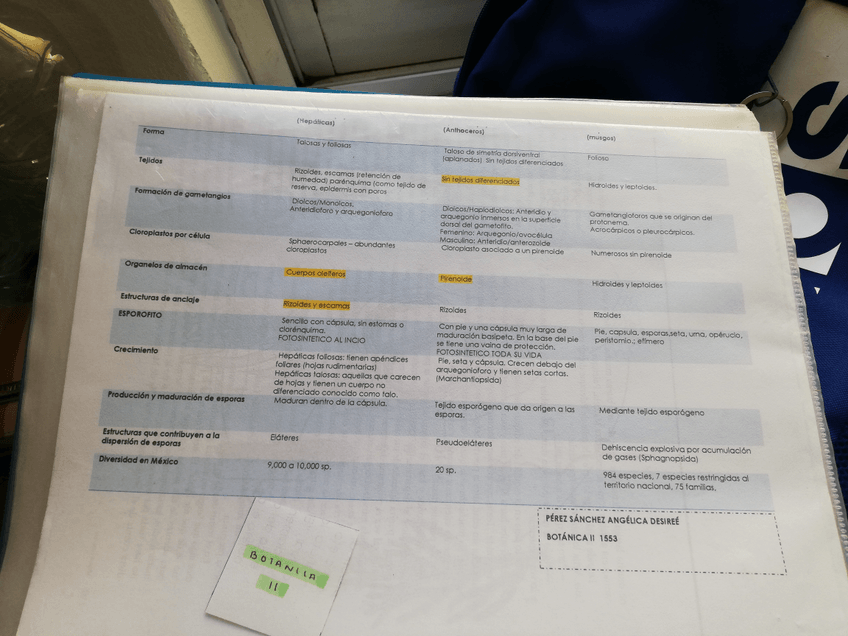 Miniatura del documento IMG20190902155538.jpg