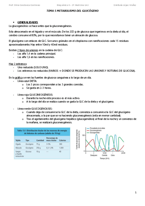 Miniatura del documento TEMA-5-METABOLISMO-DEL-GLUCOGENO-subir.pdf