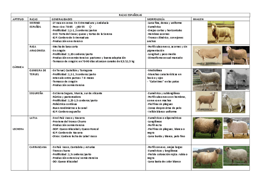 Miniatura del documento Ovejas.pdf