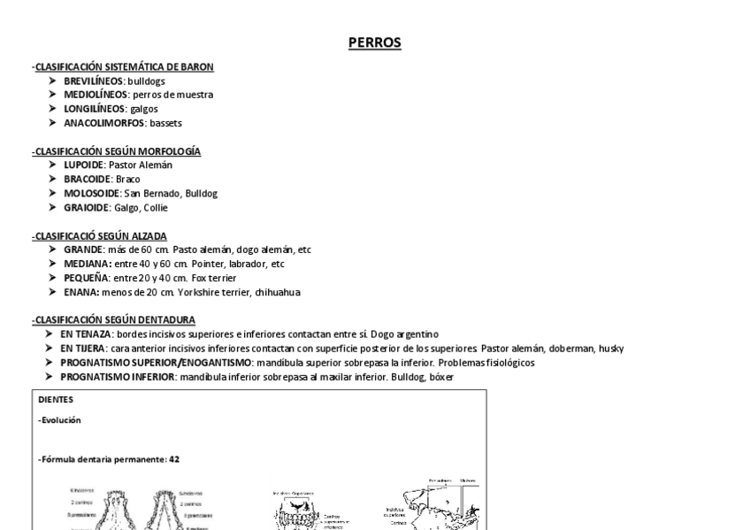 Miniatura del documento Perros.pdf