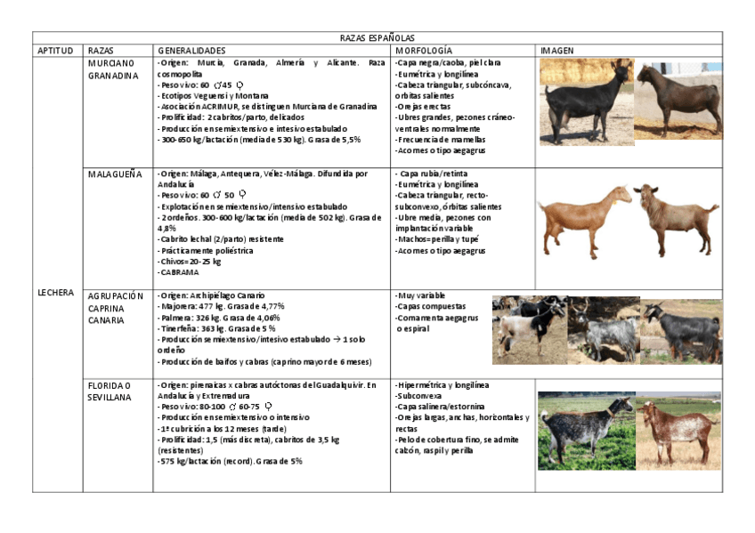 Miniatura del documento Cabras.pdf