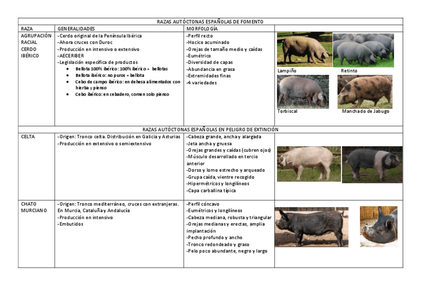 Miniatura del documento Cerdos.pdf