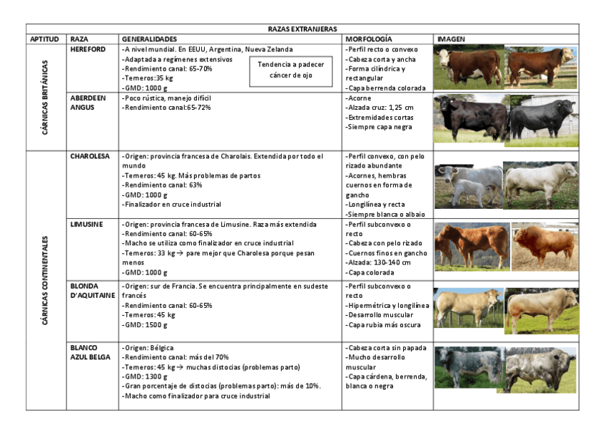 Miniatura del documento Vacas.pdf