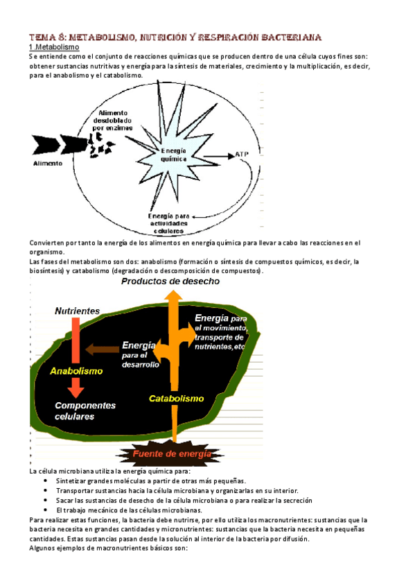 Miniatura del documento Temas-parte-2.pdf