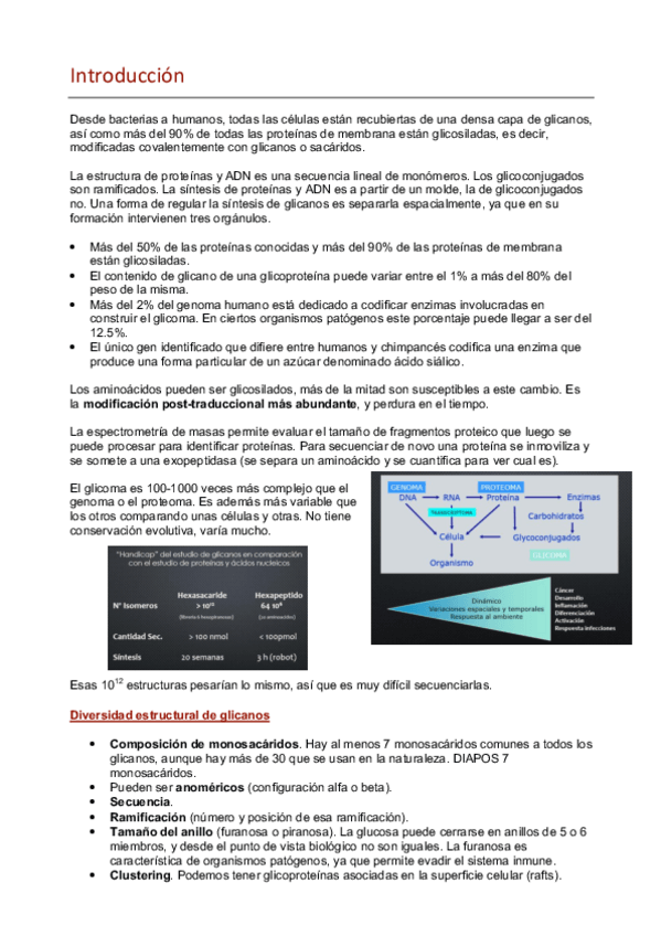 Miniatura del documento 1.pdf