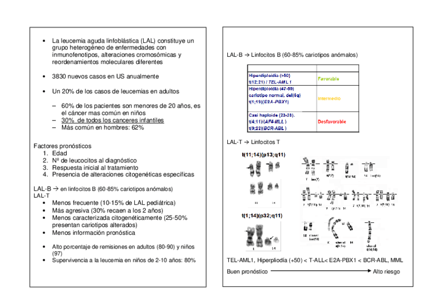 Miniatura del documento LAL.pdf