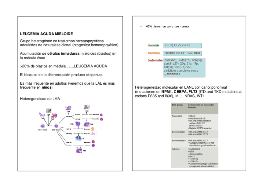 Miniatura del documento LANL.pdf