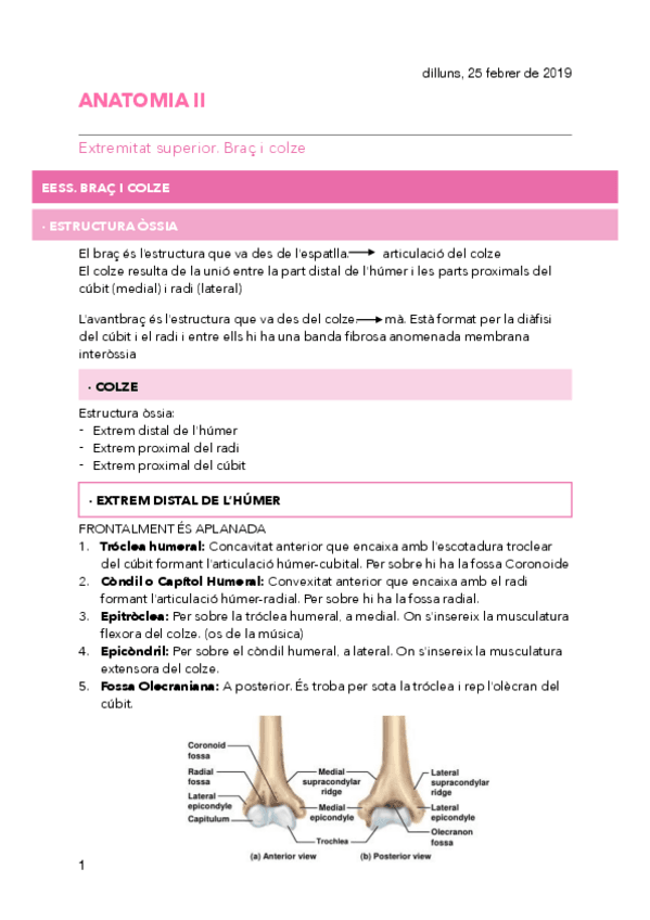 Miniatura del documento 6.pdf