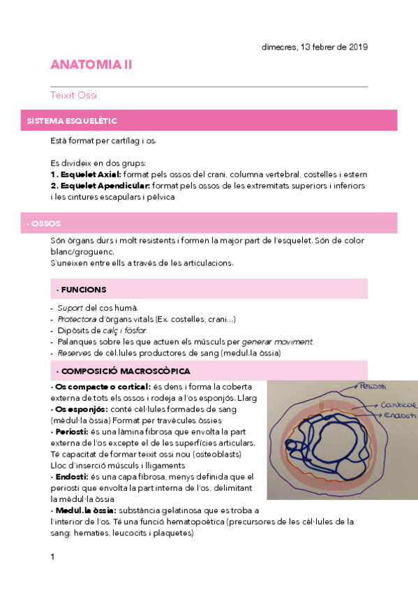 Miniatura del documento 2.pdf