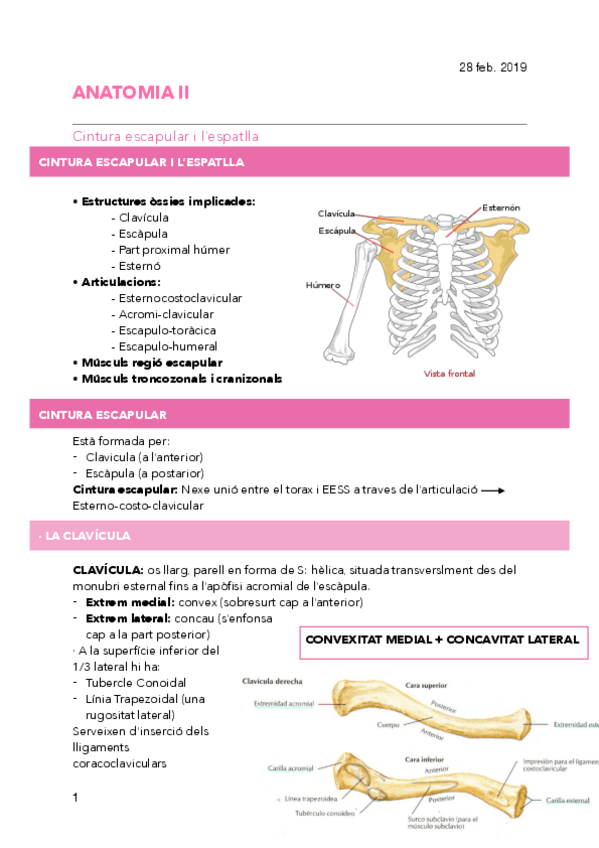 Miniatura del documento 5.pdf