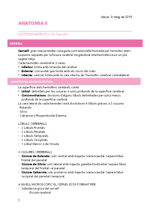 Miniatura del documento T6-El-Cervell.pdf