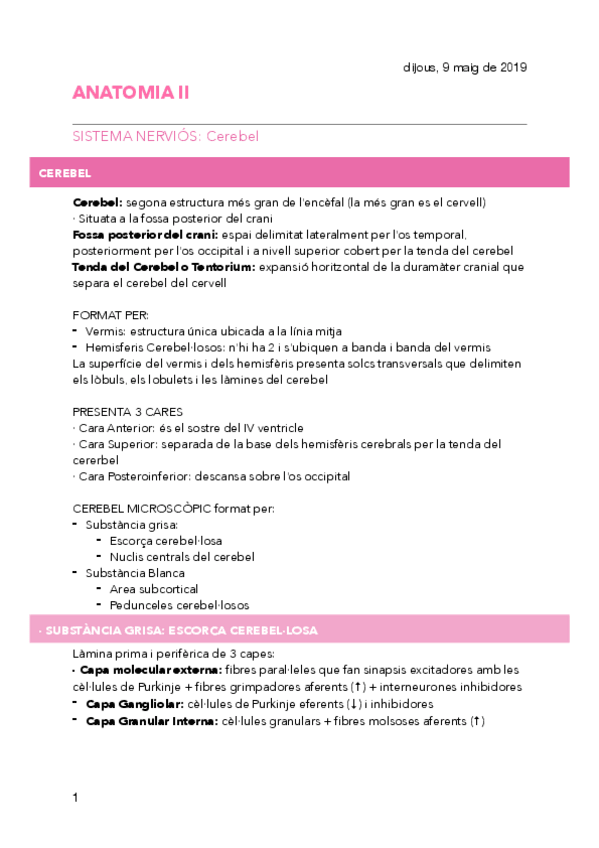 Miniatura del documento T5.pdf