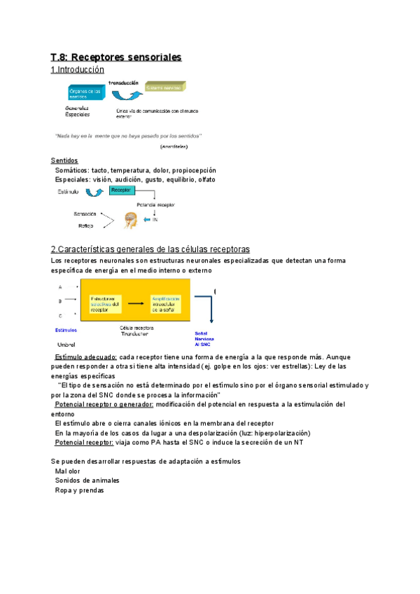Miniatura del documento T.8.pdf