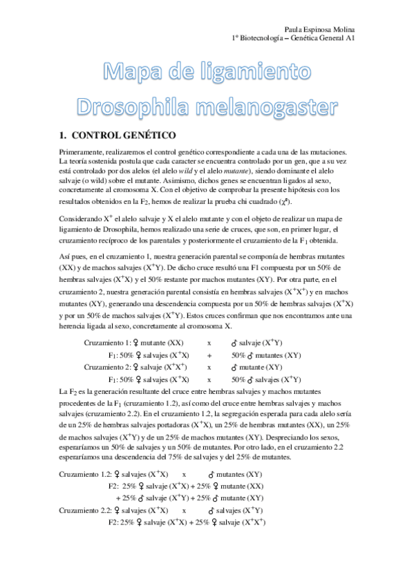 Miniatura del documento Mapa-de-ligamiento-drosophila.pdf