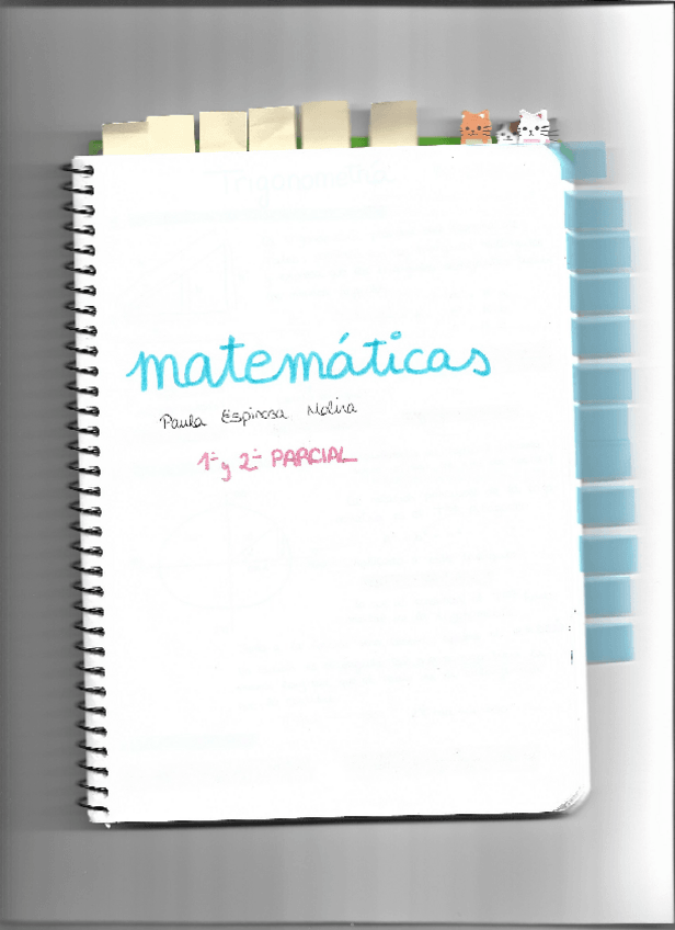 Miniatura del documento TEORIA-1o-parcial.pdf