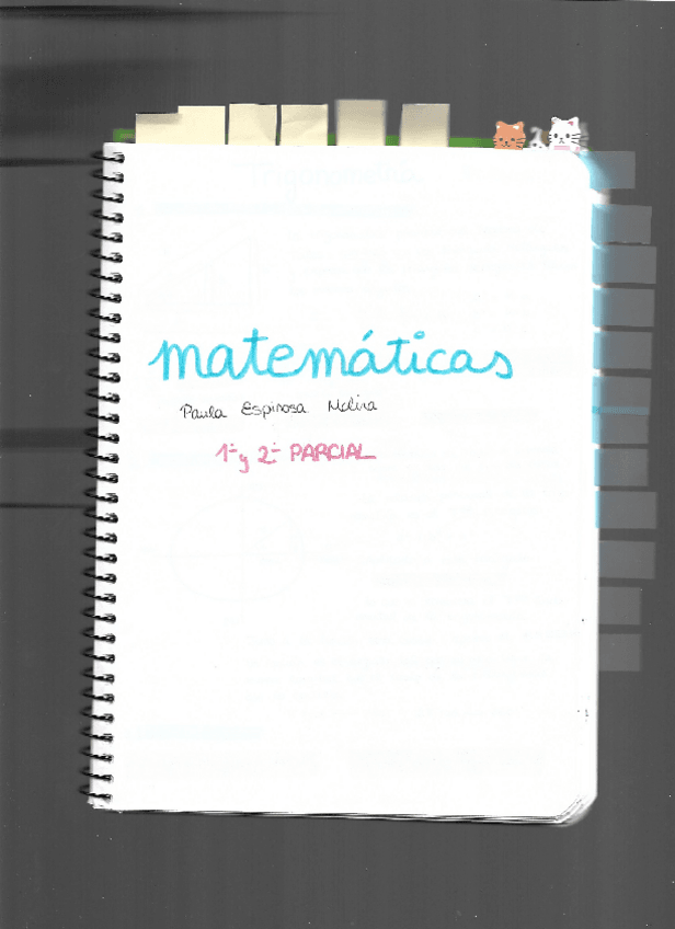 Miniatura del documento TEORIA-2o-parcial.pdf