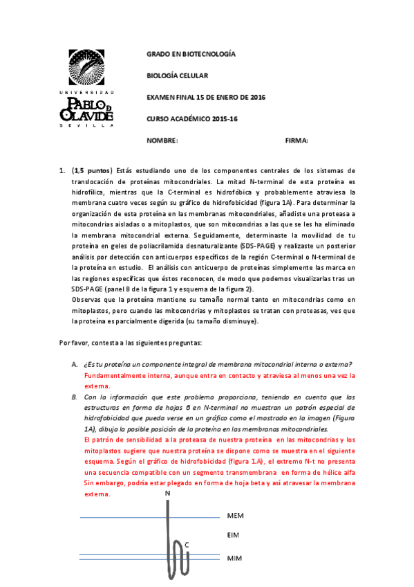 Miniatura del documento ENERO-2016-finalcorregido.pdf