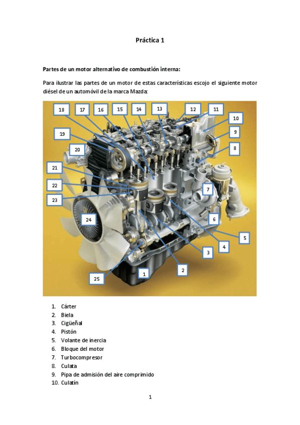 Miniatura del documento Informe-1.pdf