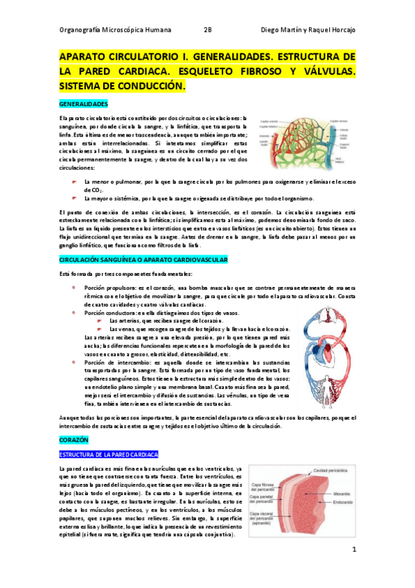 Miniatura del documento CIRCULATORIO-I.pdf