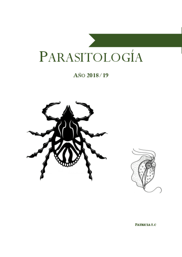 Miniatura del documento Temario-completo.pdf