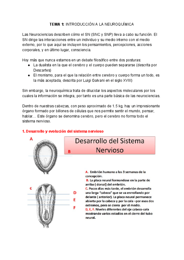 Miniatura del documento NEUROQUIMICA-Tema-1.pdf
